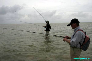 рыбалка на флетсах